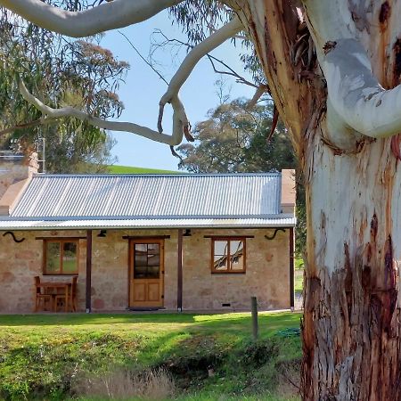 บังการี สเตชัน เบด แอนด์ เบรคฟาสต์ Bed & Breakfast Bungaree ภายนอก รูปภาพ